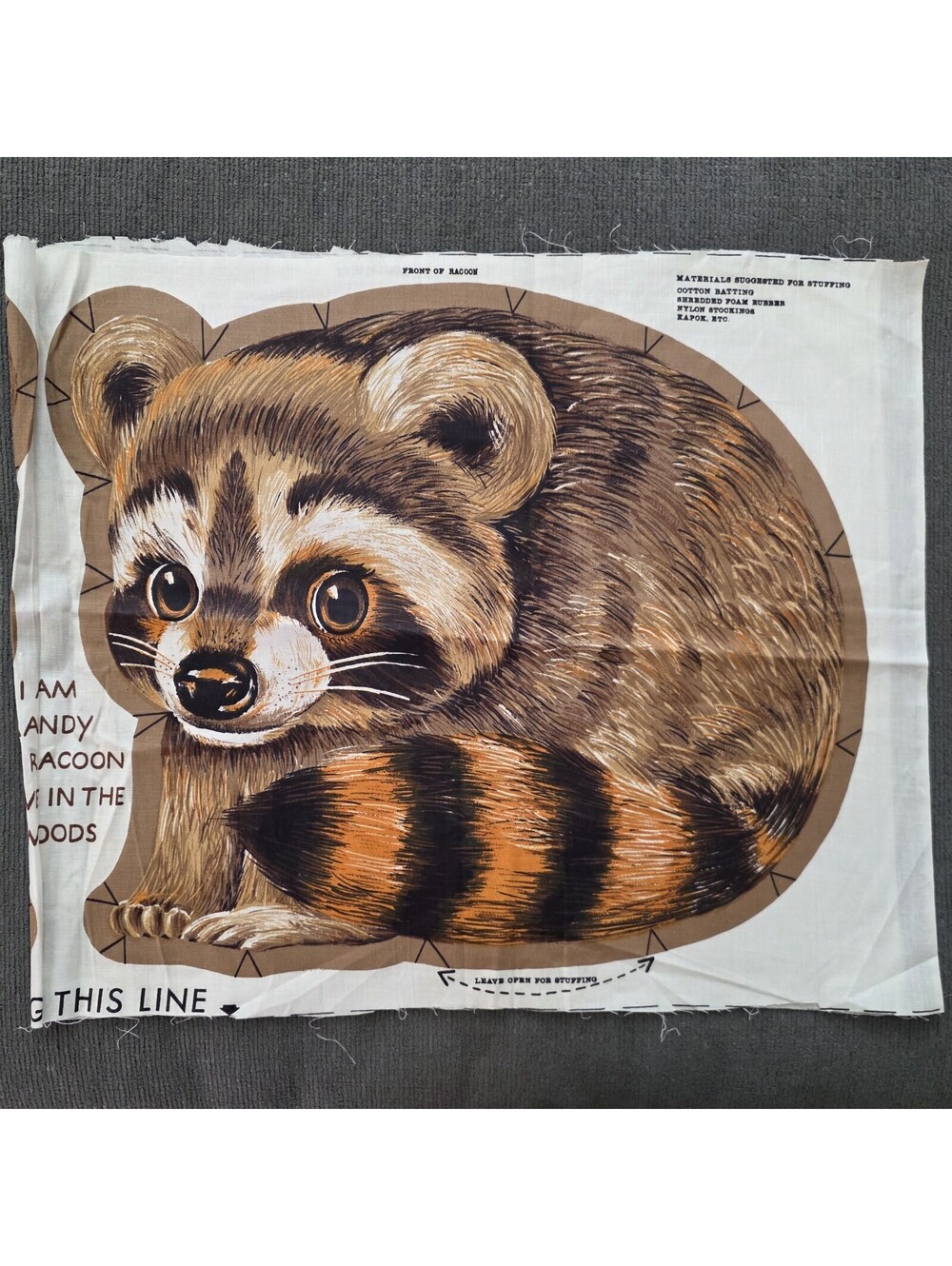 Vintage Uncut Randy The Raccoon 60s/70s Craft Fabric Panel Pillow VGC